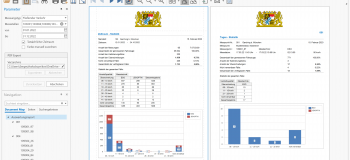 19-Daten-Auswertungsreport